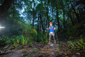 BIB: 
                            <button type="button" onclick="openModal(19241185)" class="btn btn-primary btn-sm float-right btn-popup" data-toggle="modal" data-target=".modal-high-quality">
                        <i class="fas fa-shopping-cart"></i> Add to Cart
                    </button>
                                            <button type="button" onclick="isThisMe(19241185, true)" class="btn btn-success btn-sm float-right btn-popup btn-isme hidden" data-toggle="tooltip" data-placement="bottom" title="นี่คือรูปของคุณใช่ไหม คลิกที่นี่เพื่อเอาเข้าอัลบั้ม">
                        <i class="fas fa-plus"></i> Add to album
                    </button>
                    <button type="button" onclick="isThisMe(19241185, false)" class="btn btn-warning btn-sm float-right btn-popup btn-isnotme hidden">
                        <i class="fas fa-ban"></i> Remove from album
                    </button>